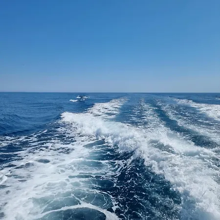 L'escale Du Capitaine *