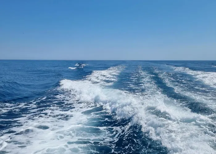 L'escale Du Capitaine *