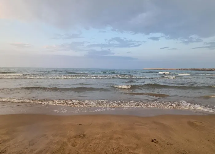 L'escale Du Capitaine *